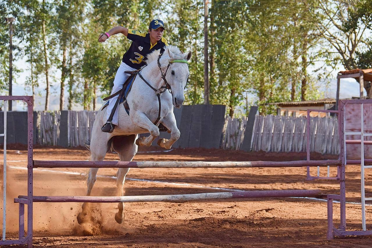 Athleticism of Horse Riders