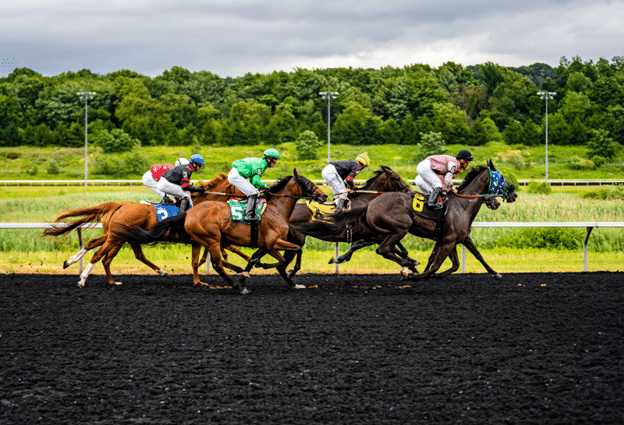 Prestigious Horse Races