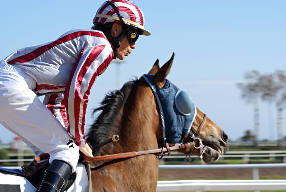 A jockey in striped attire riding a Thoroughbred racehorse in motion, capturing the essence of high-caliber stakes racing competitions.