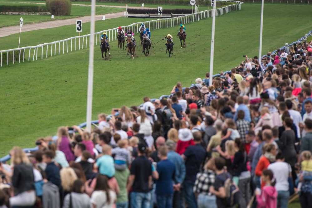 The economics of horse racing, featuring owners, trainers, and bettors
