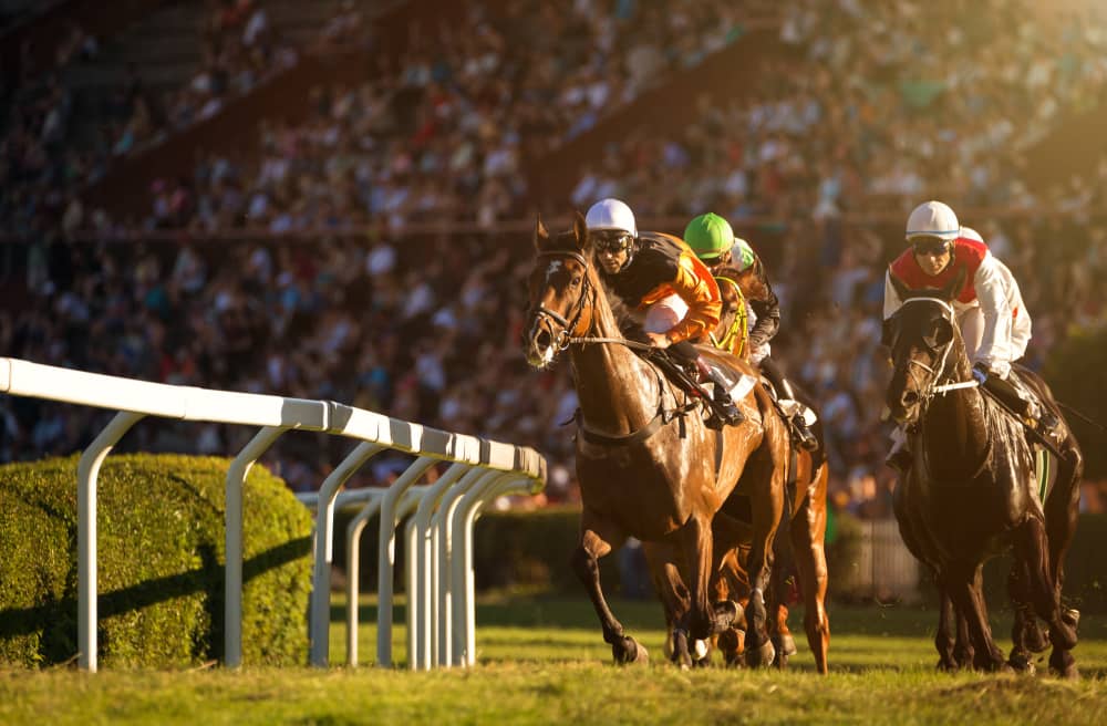 Future challenges and opportunities in the horse racing industry